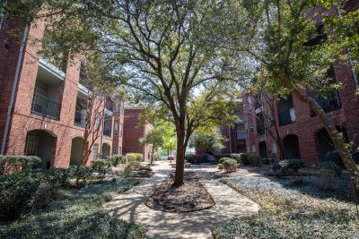 Luxury apartment community with landscaping Round Rock Texas